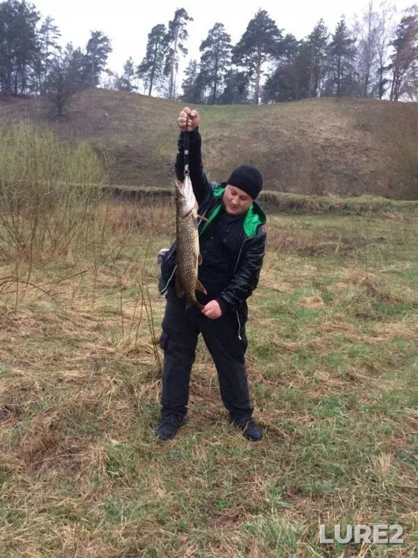 Щука
