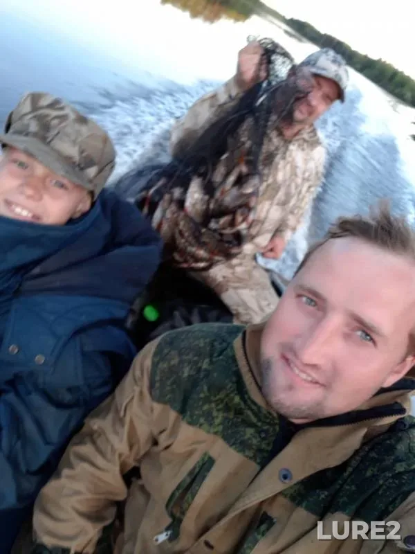 Окунь