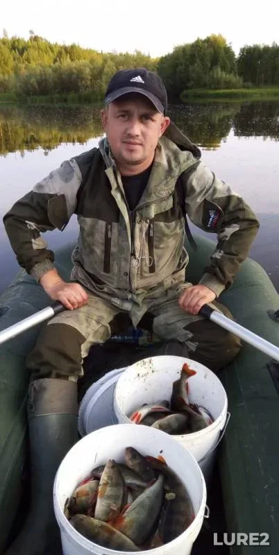 Окунь