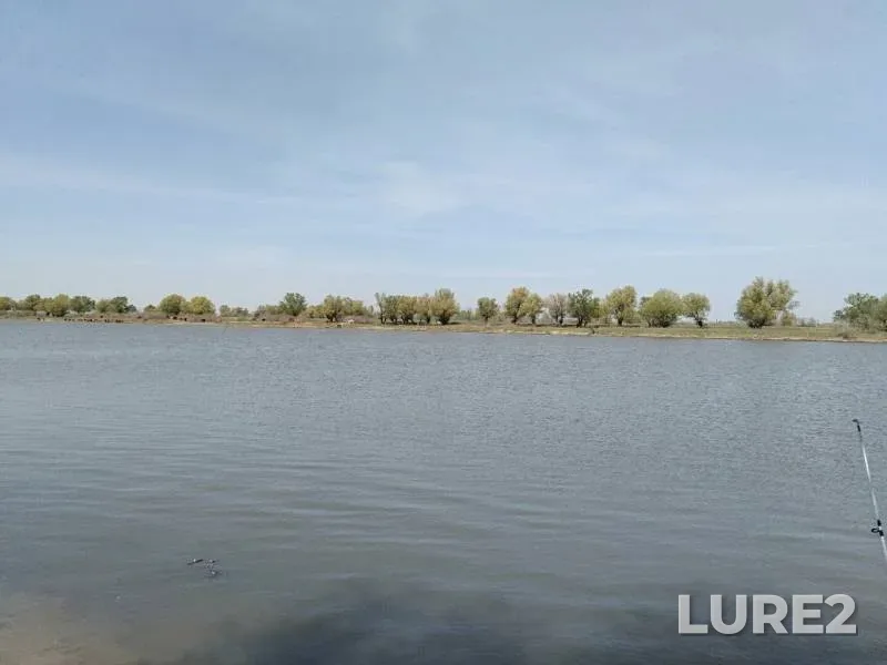 Лещ, Карась
