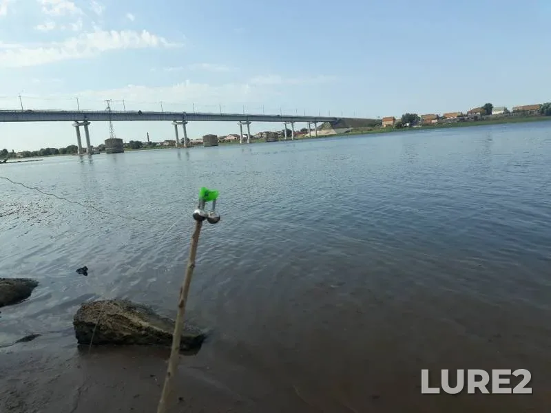 Карп
