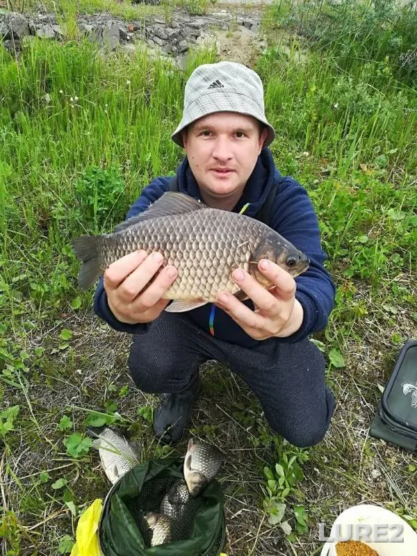 Карась