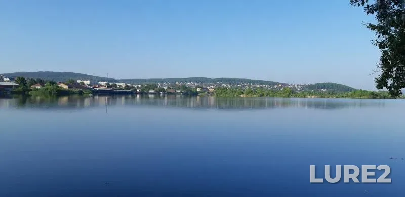 Окунь