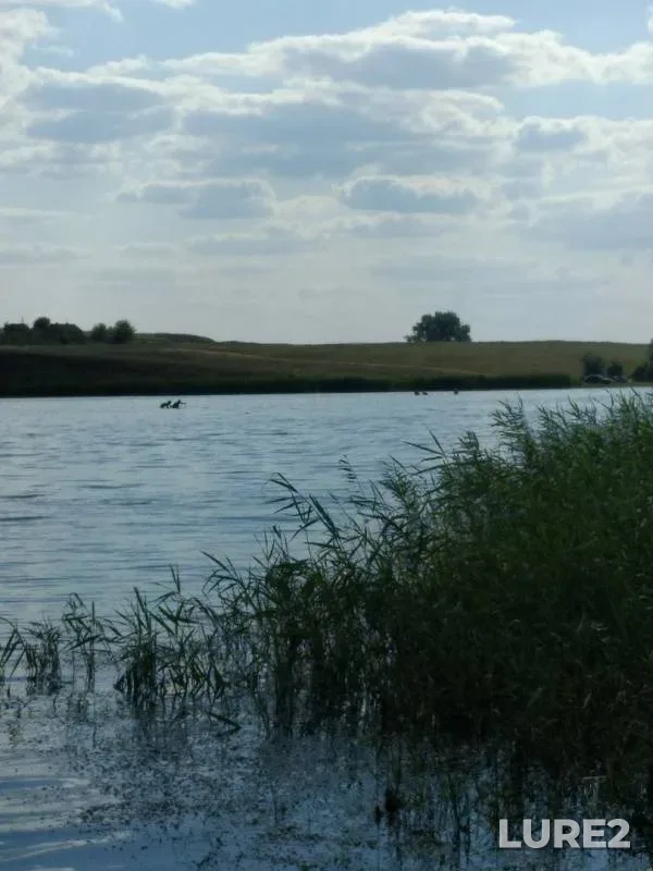 Карась