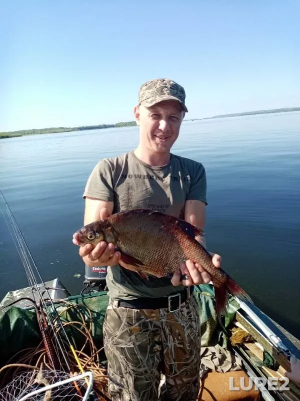 Лещ