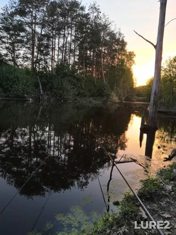 Карась