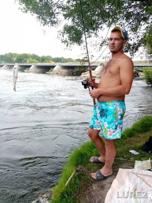 Голавль