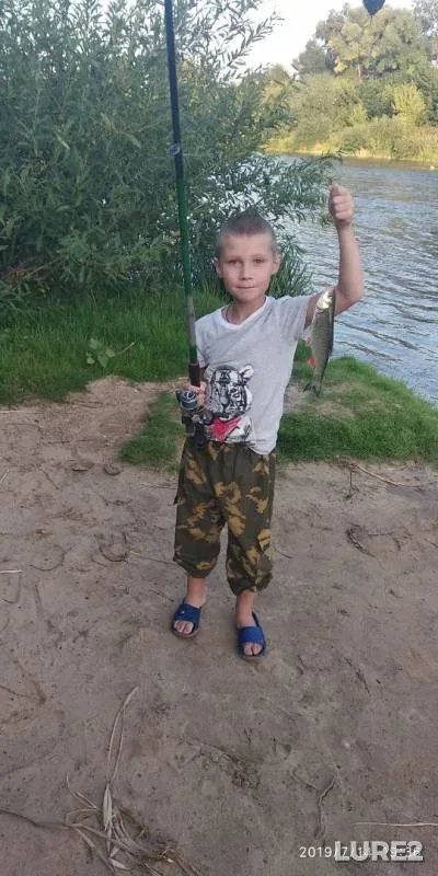 Голавль