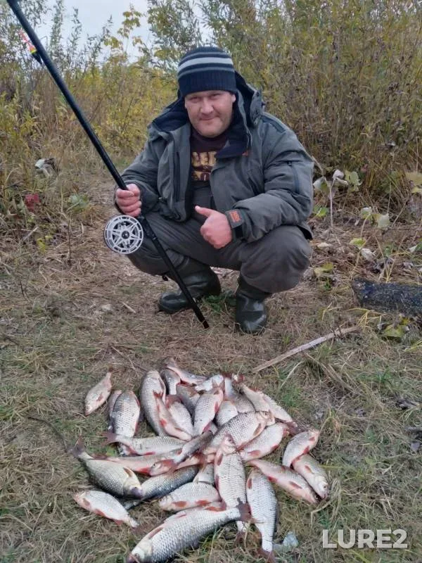 Плотва