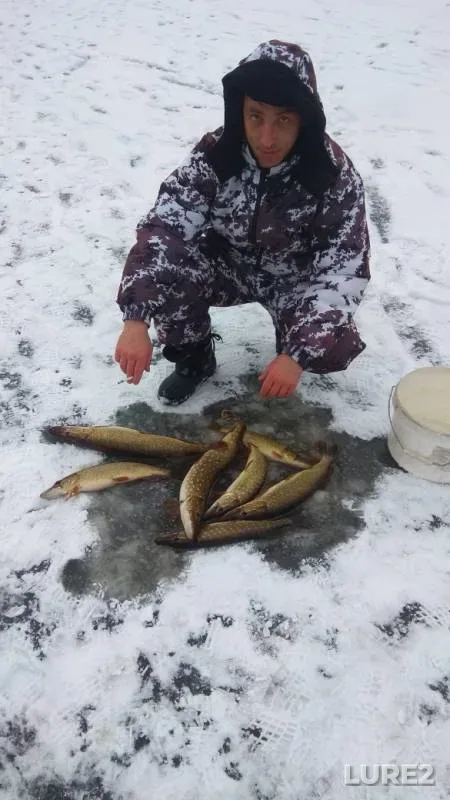 Щука — Сергеевское, 16 дек. 2018 г.