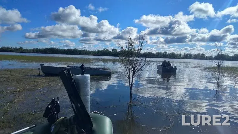 Окунь, Щука — Омская область, Большереченский район, 17 июн. 2019 г.
