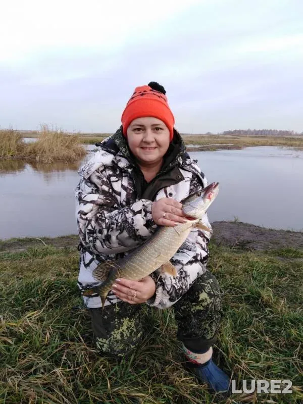 Карась, Щука — Омская область, Тюкалинский район, 10 окт. 2019 г.