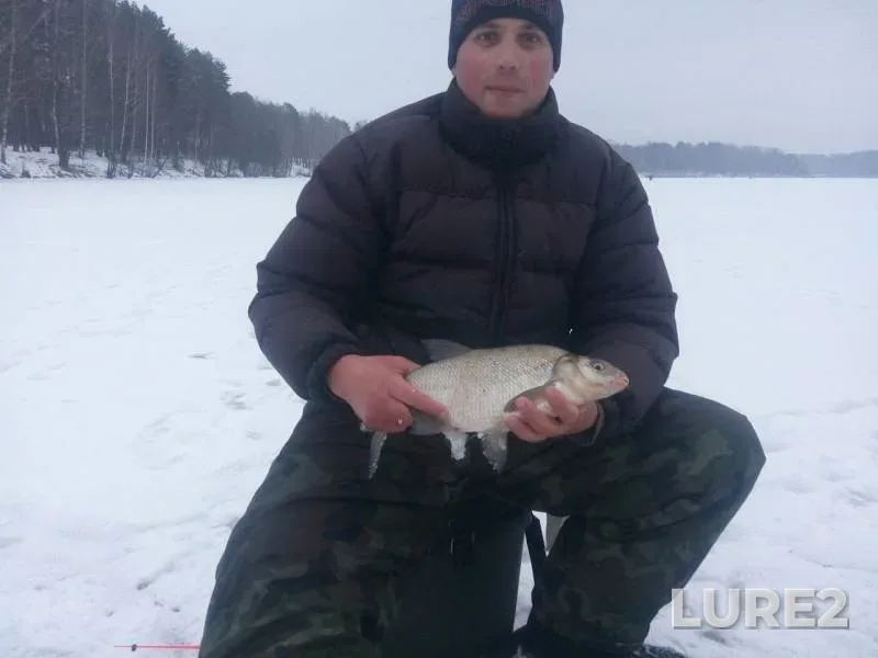 Лещ