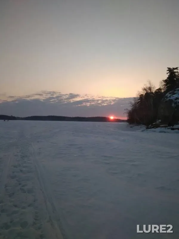 Окунь
