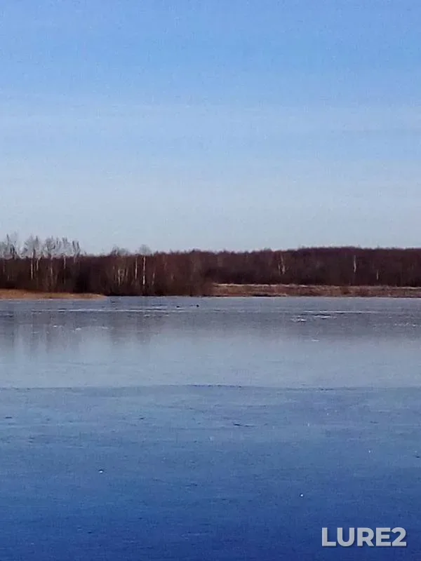 Окунь