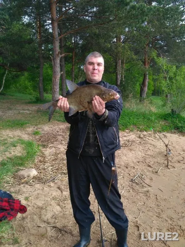 Лещ