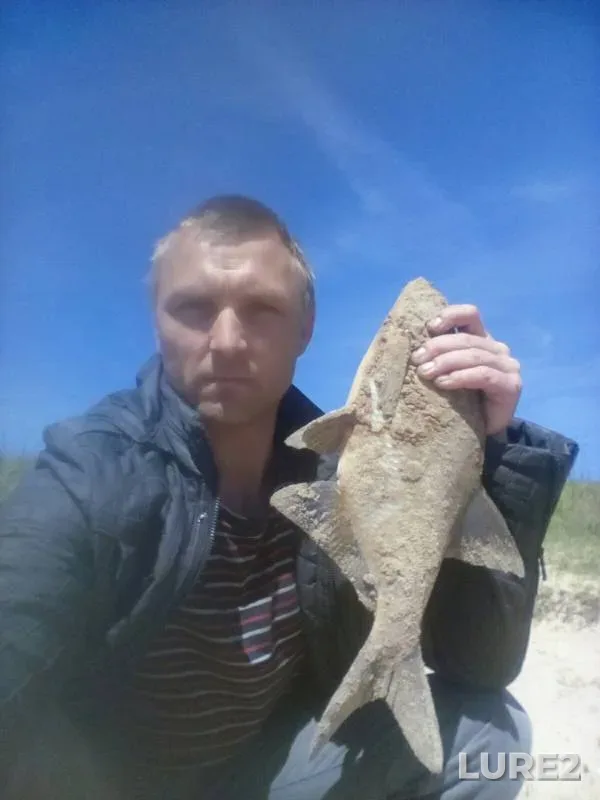 Лещ