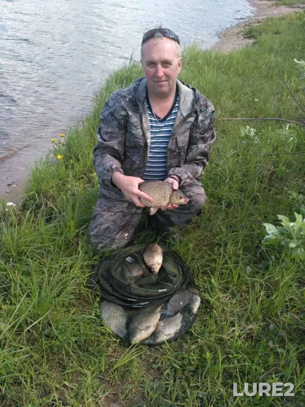 Карась