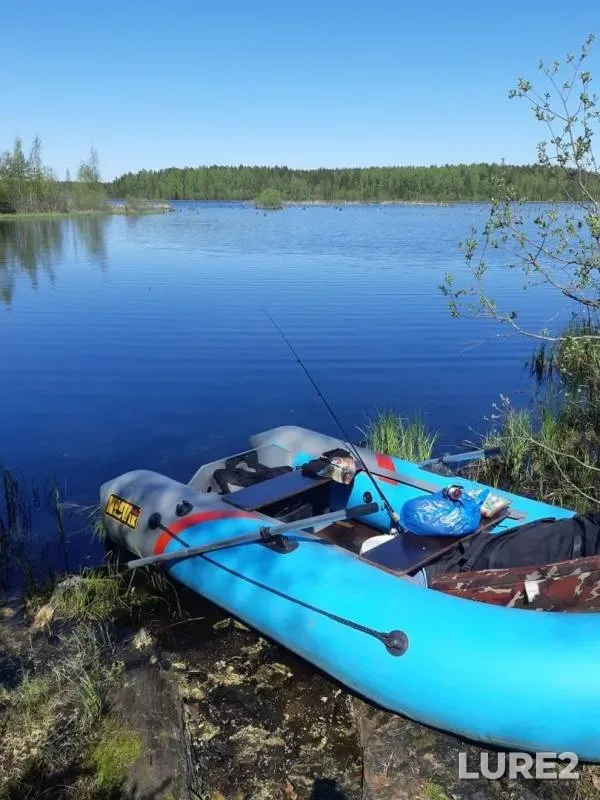 Лещ, Плотва