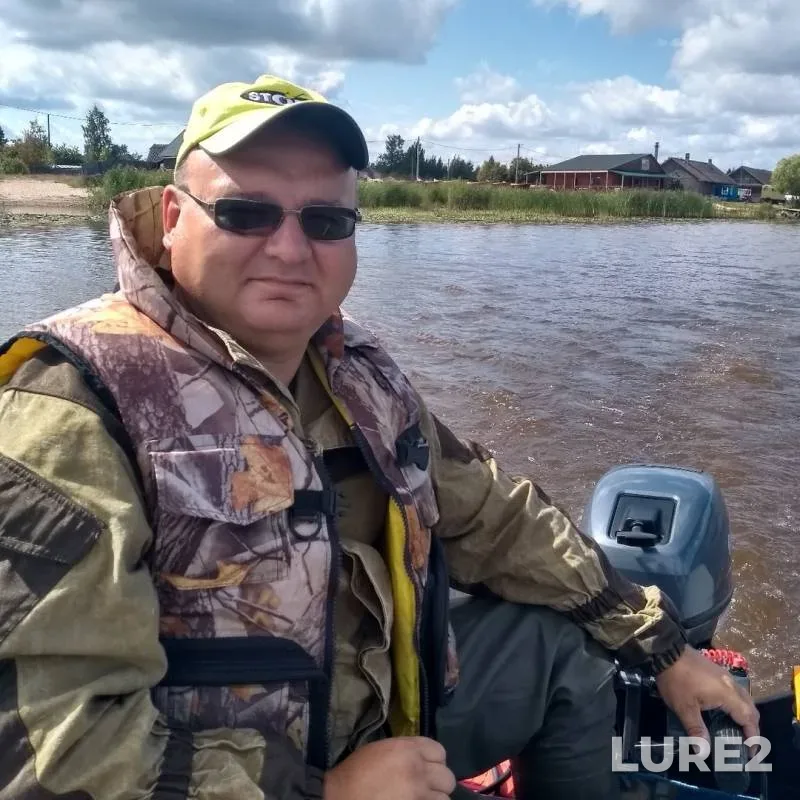 Окунь, Судак