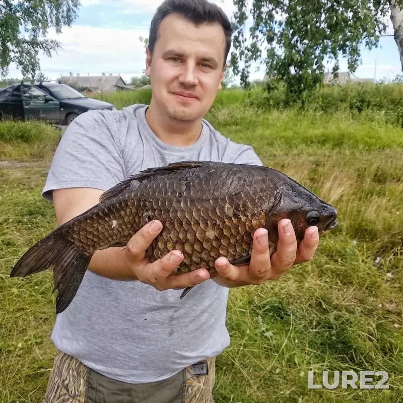 Карась