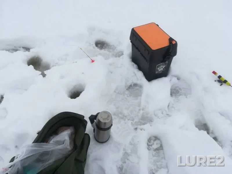 Окунь, Щука