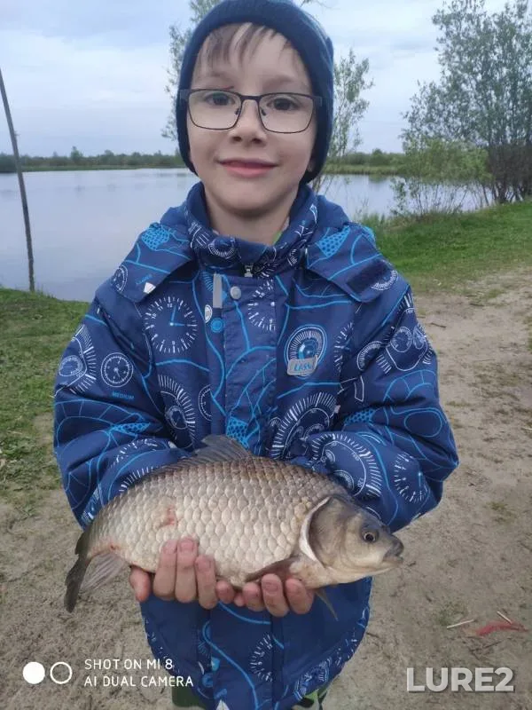Карась