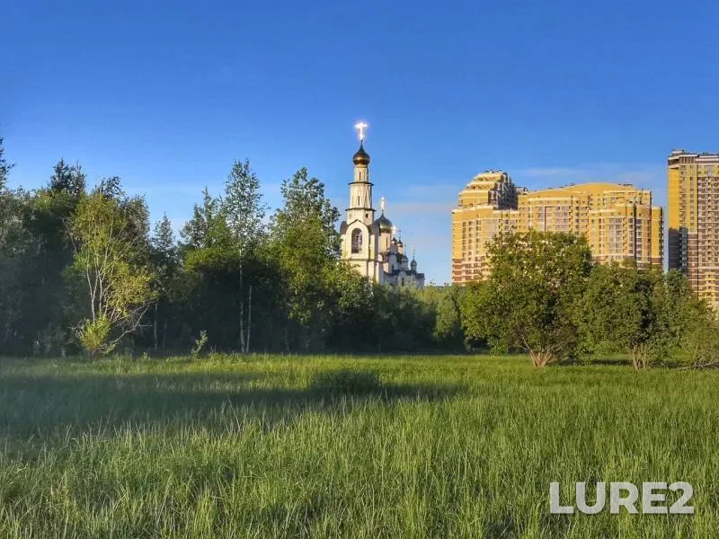 Окунь, Щука