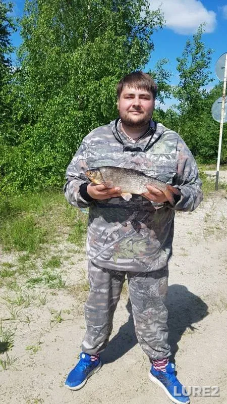 Жерех
