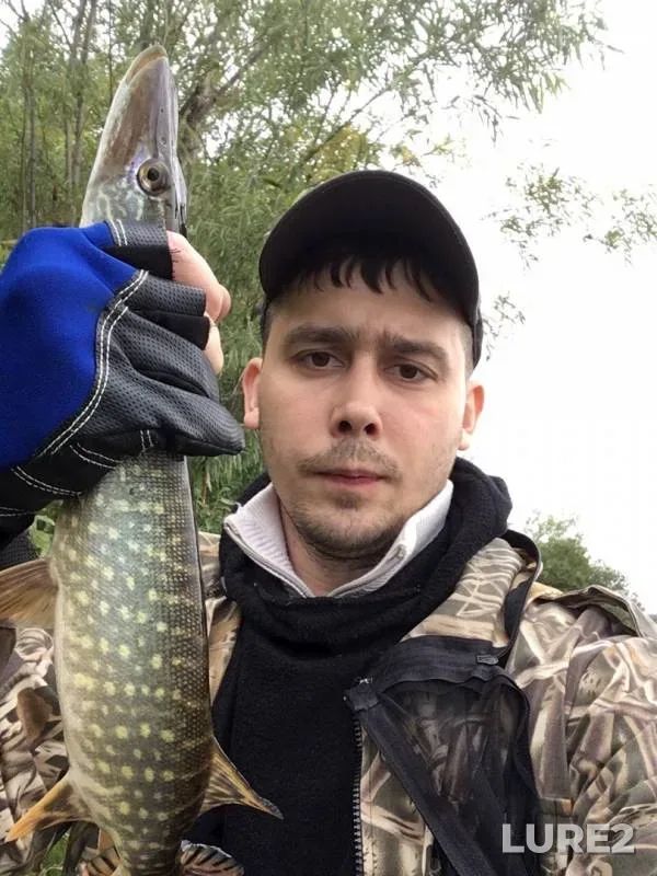 Щука