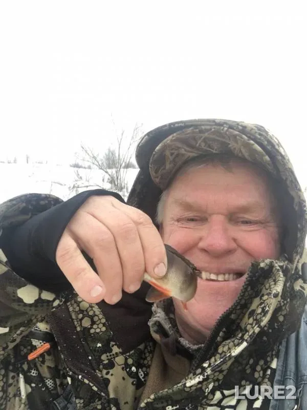 Окунь