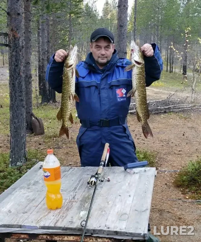 Щука