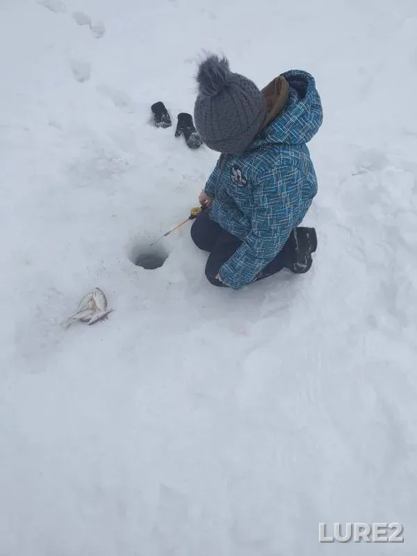 Лещ
