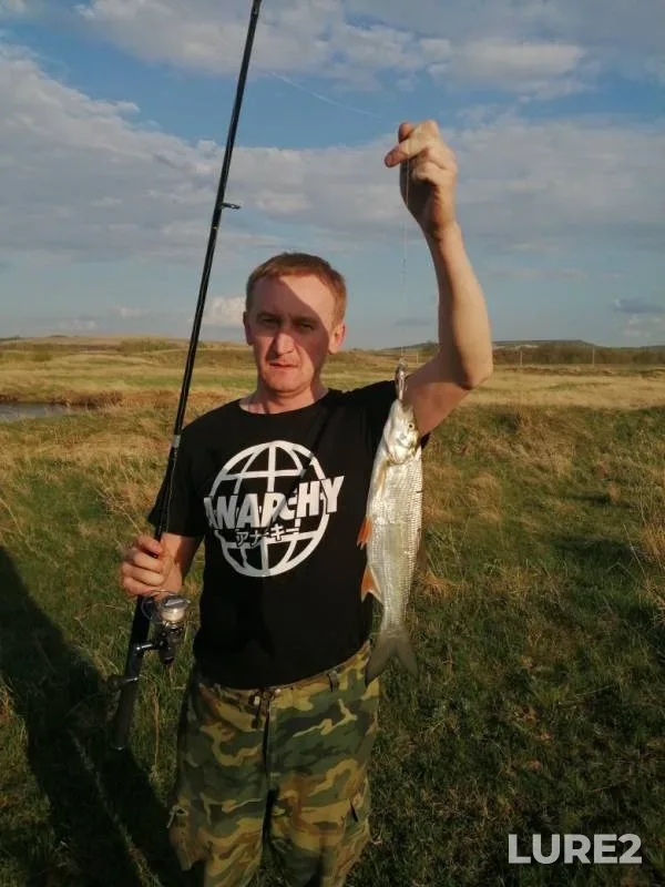 Жерех