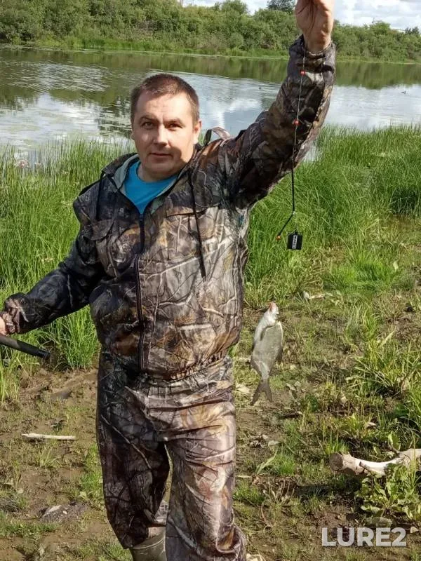 Окунь, Щука