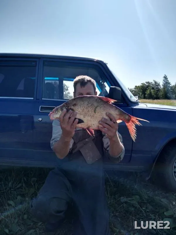 Лещ