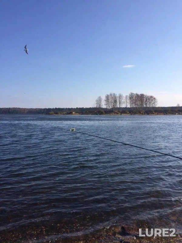 Карась