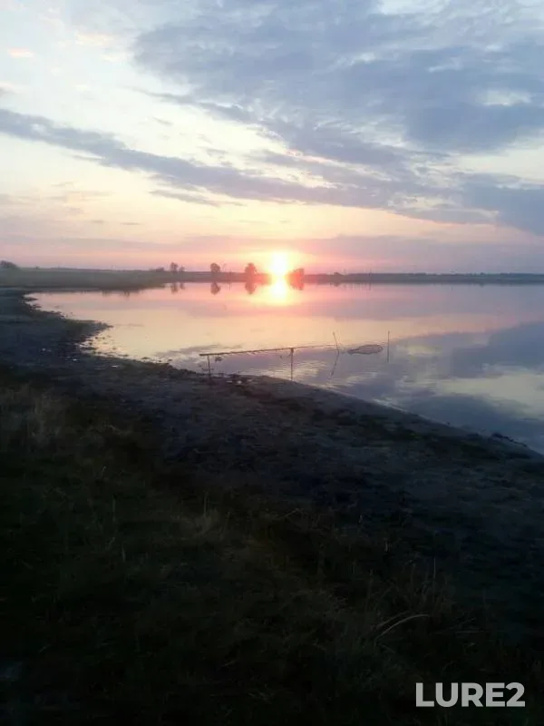 Карась