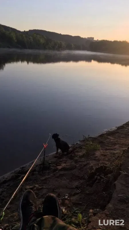 Лещ