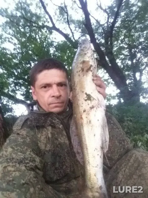 Судак