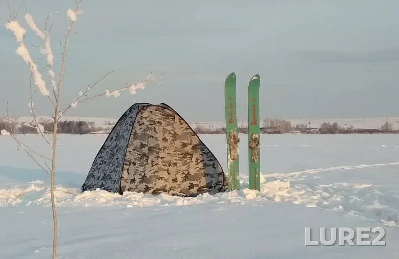 Окунь