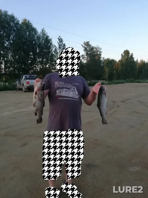 Карп