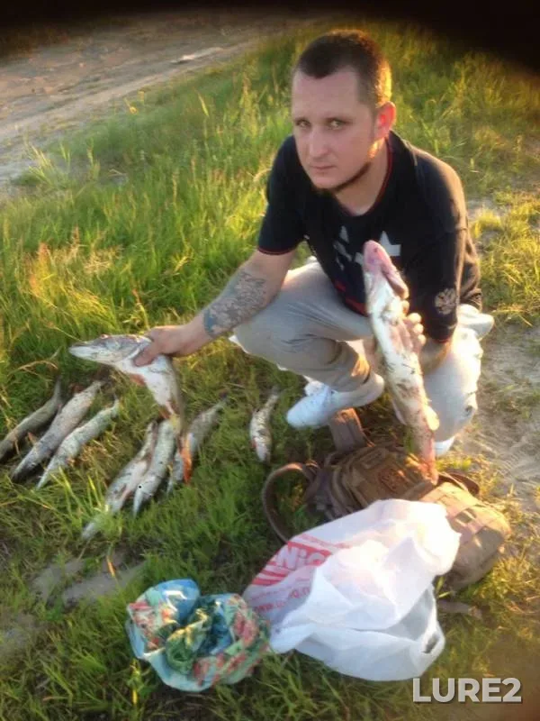 Щука, Судак