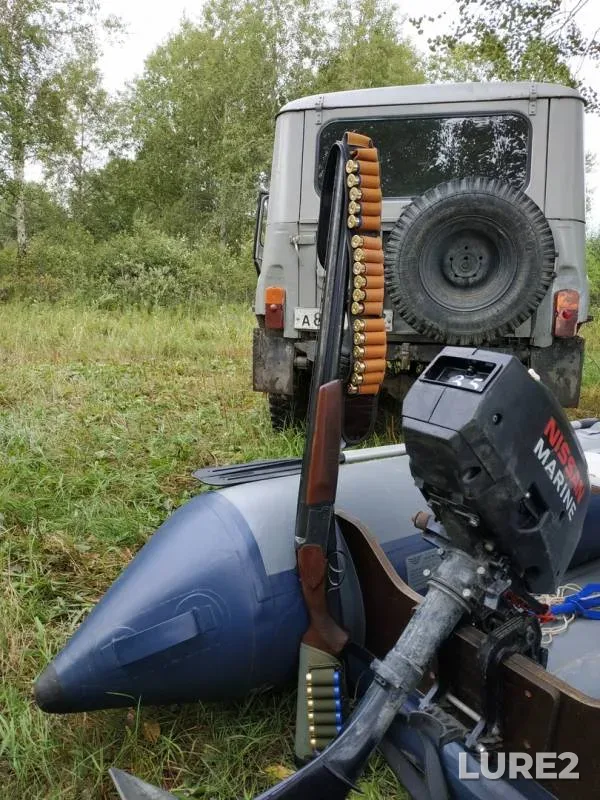 Карась, Щука