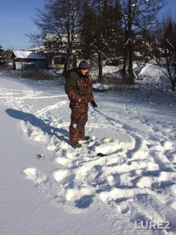 Окунь