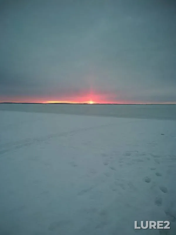 Окунь, Плотва