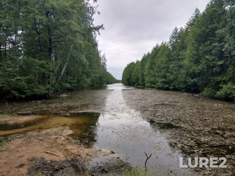 Окунь