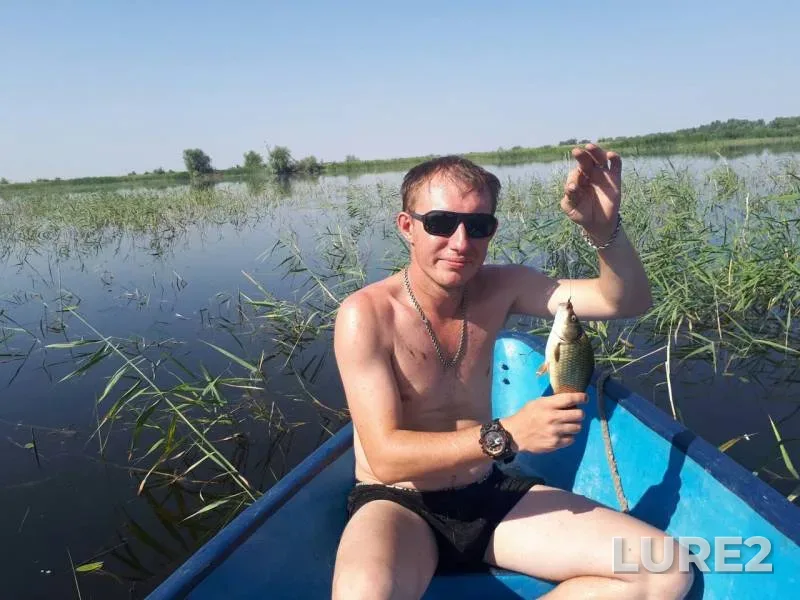 Карась
