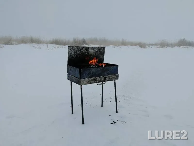 Щука