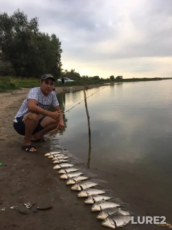 Карась